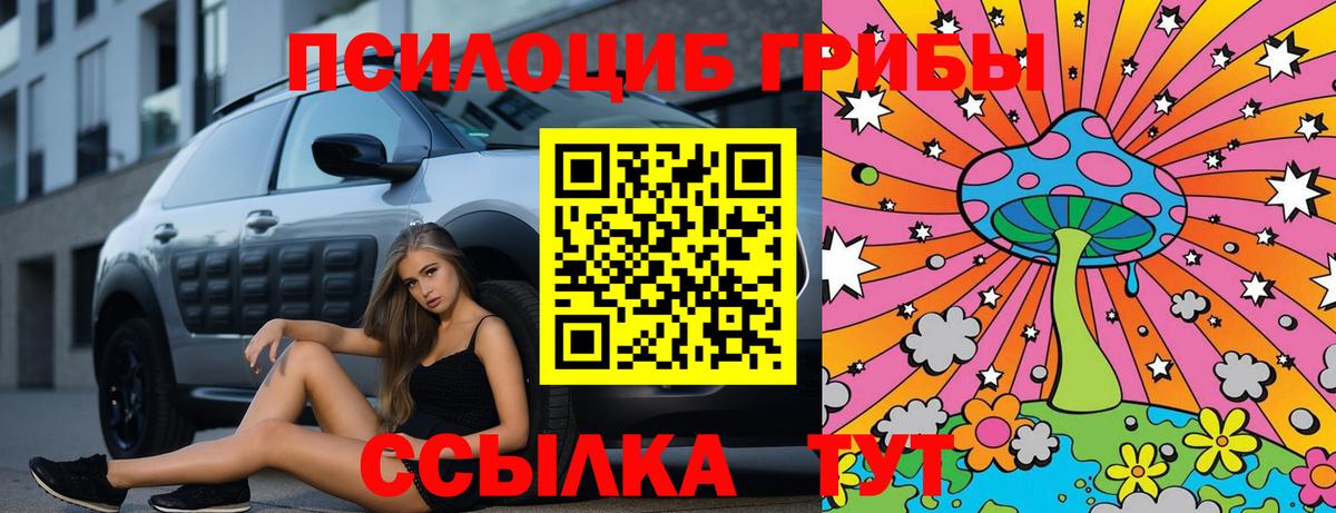 Псилоцибиновые грибы мицелий Каспийск