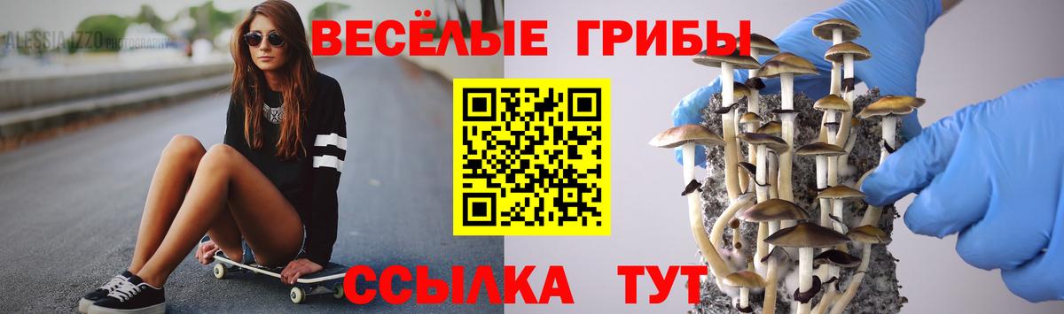 даркнет сайт  Псилоцибиновые грибы Magic Shrooms  Вход с VPN  Каспийск 